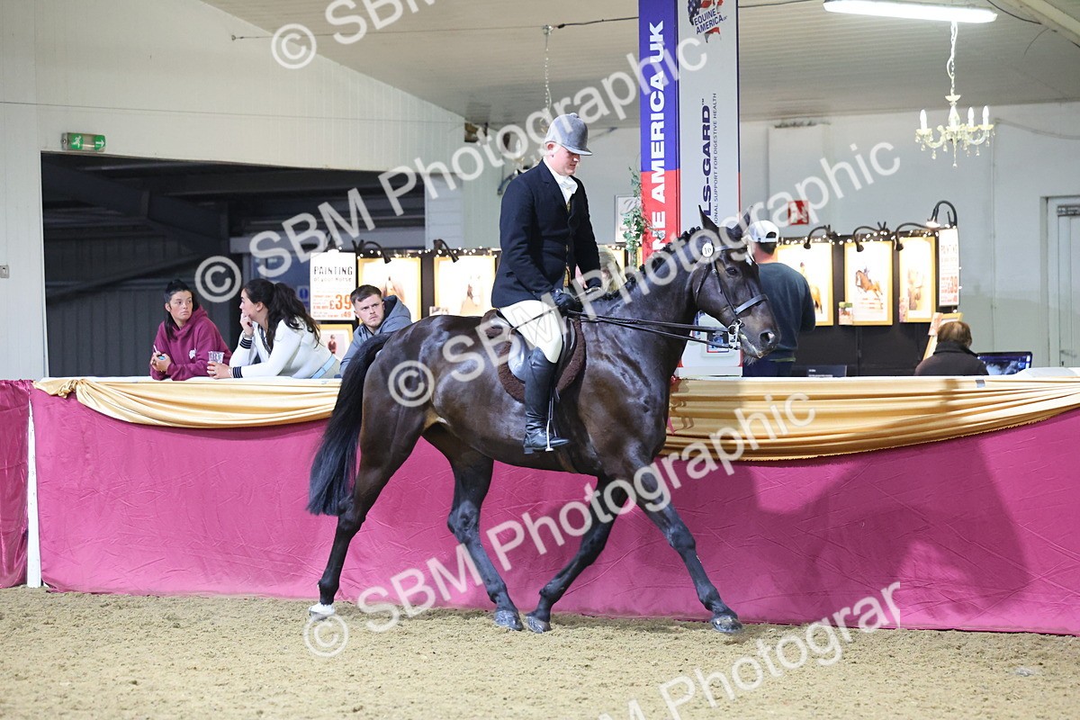 0B8A4465 - Class O Ridden Show Horse Champ