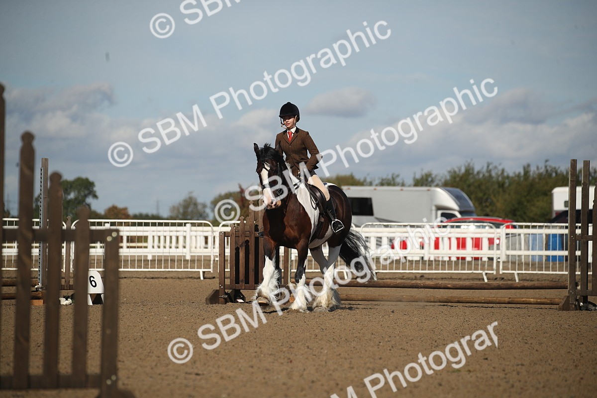 SBM_12734 - Class 504b - Junior Working Veteran - 40cm (20+)