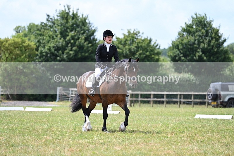 WJ7_5568 - Time 11:52 to 12:10