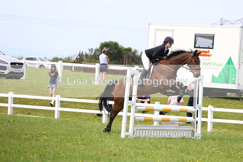 3E7A1606 - Class 13: Senior British Novice/90cm open