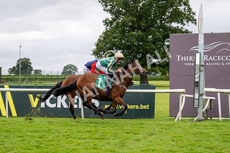 030724-Race 2-The Crafty Mole-0537 - Race 2