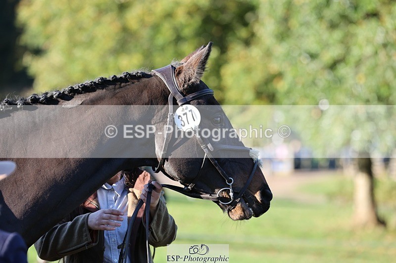 241027-084112-14743 - 377-Bethany.Hull-CARRICK.DIAMOND.OLIVER