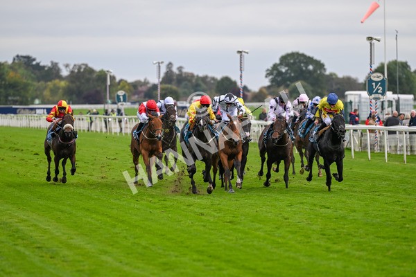 101025-Race 5-Go Vince Go-6950 - Race 5 Parsonage Hotel And Cloisters Spa Nursery Handicap at York