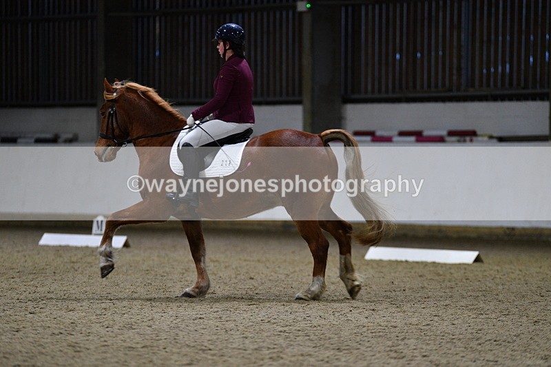 WJ5_8623 - Class 5 Novice Test 3