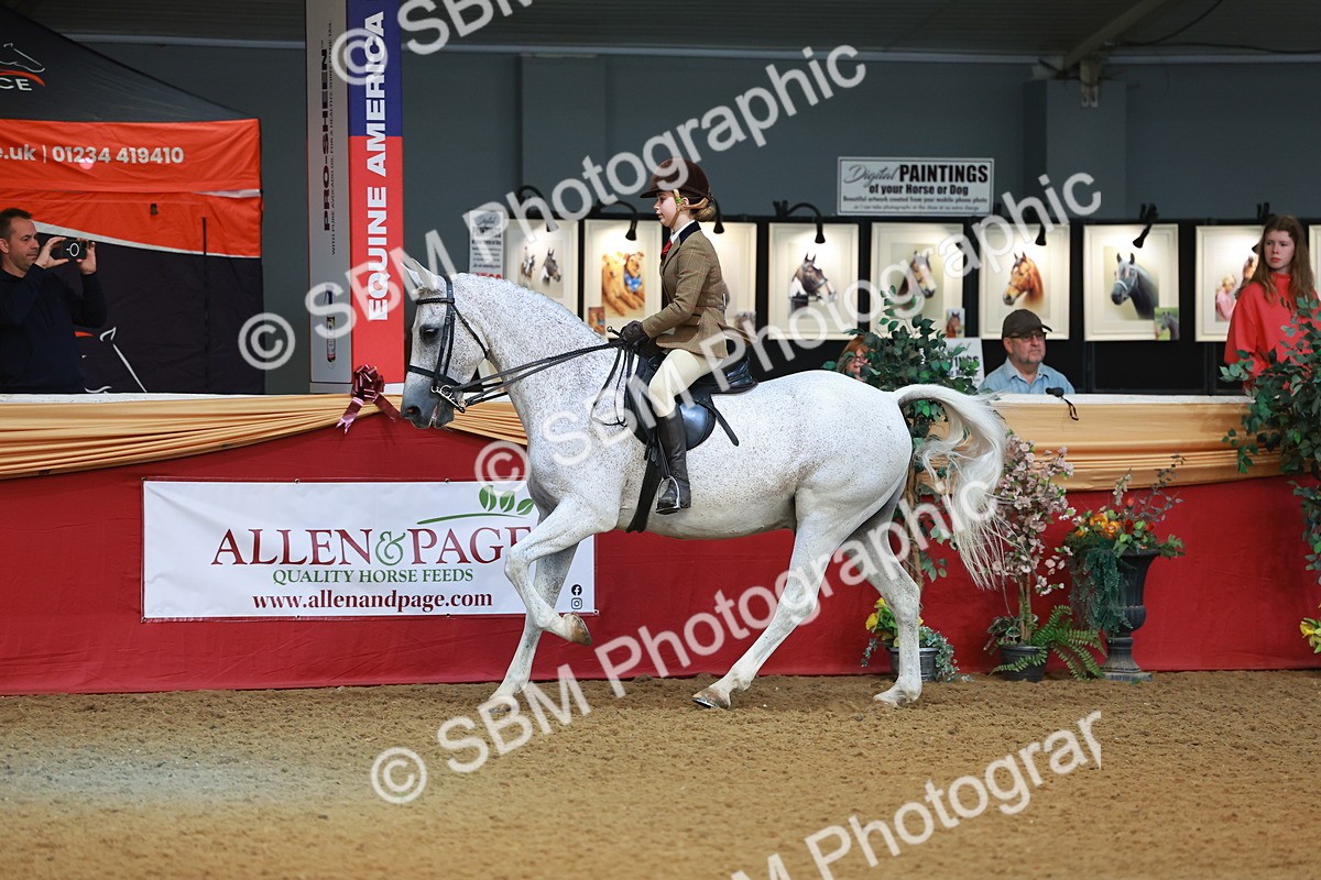SBM_09502 - Class 102 - HOYS Veteran Qualifier - Ridden Veteran