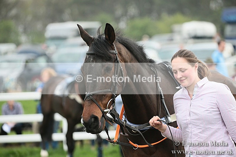 PtP 210418 152 - South & West Wilts Point-to-Point Larkhill 21/04/18