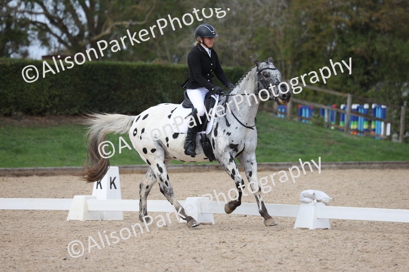 20261010-0697 - Class 6 - Novice 2