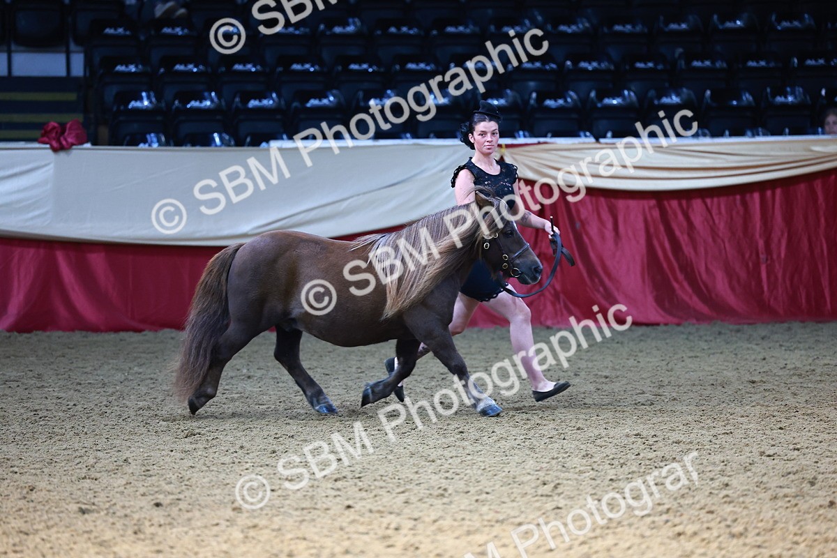 SBM_22362 - Class 902 - Supreme Final - IH Diamond