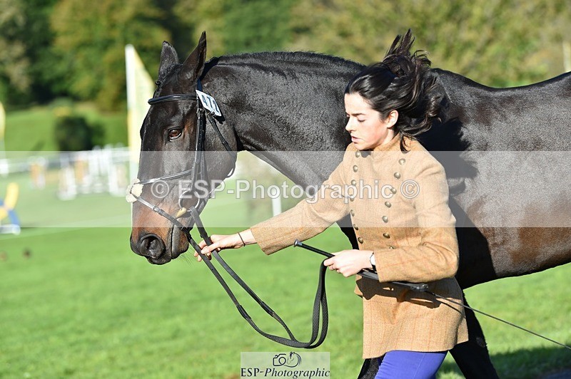 231022-102810-22504 - 472-SIR.LARRY.II-Alice.Wharton-TrotUp+SJ