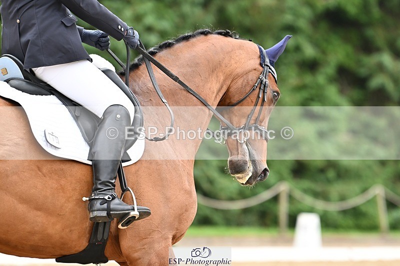 240811-105146-05031 - 163-Sue.Jackson-Verano