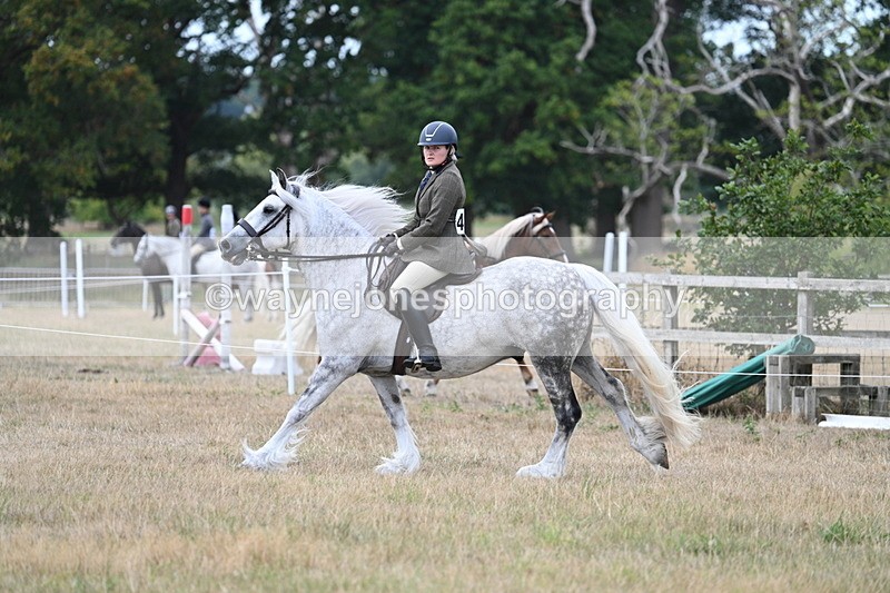 WJ7_5023 - Class 12 Ridden Cob