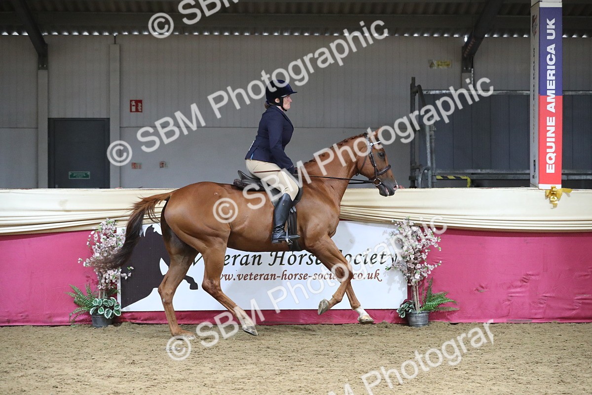 SBM_12321 - Class 108 Ridden Retired Racehorse- Pre Judging