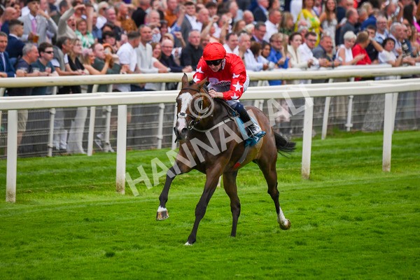 280723-Race 6-Spirit Dancer-0652 - Race 6 7.50pm Sky Bet Extra Places Every Day Handicap