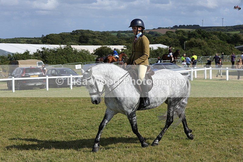 1X9A5897 - Class 41:. NPS New Forest & Connemara