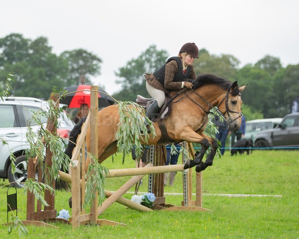 Dunblane show-522 - Dunblane and Doune Show Ring 1