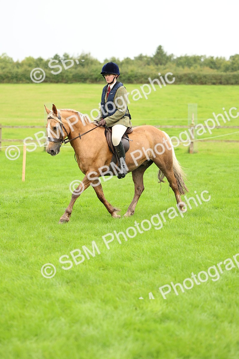 1I0A1445 - S32 - Mountain & Moorland Working Hunter Pony