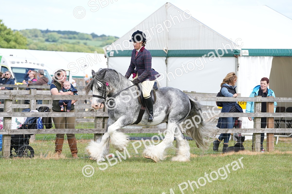 SBM_17162 - Class 107-108 - LIHS BSPS Performance Coloured Horse Pony