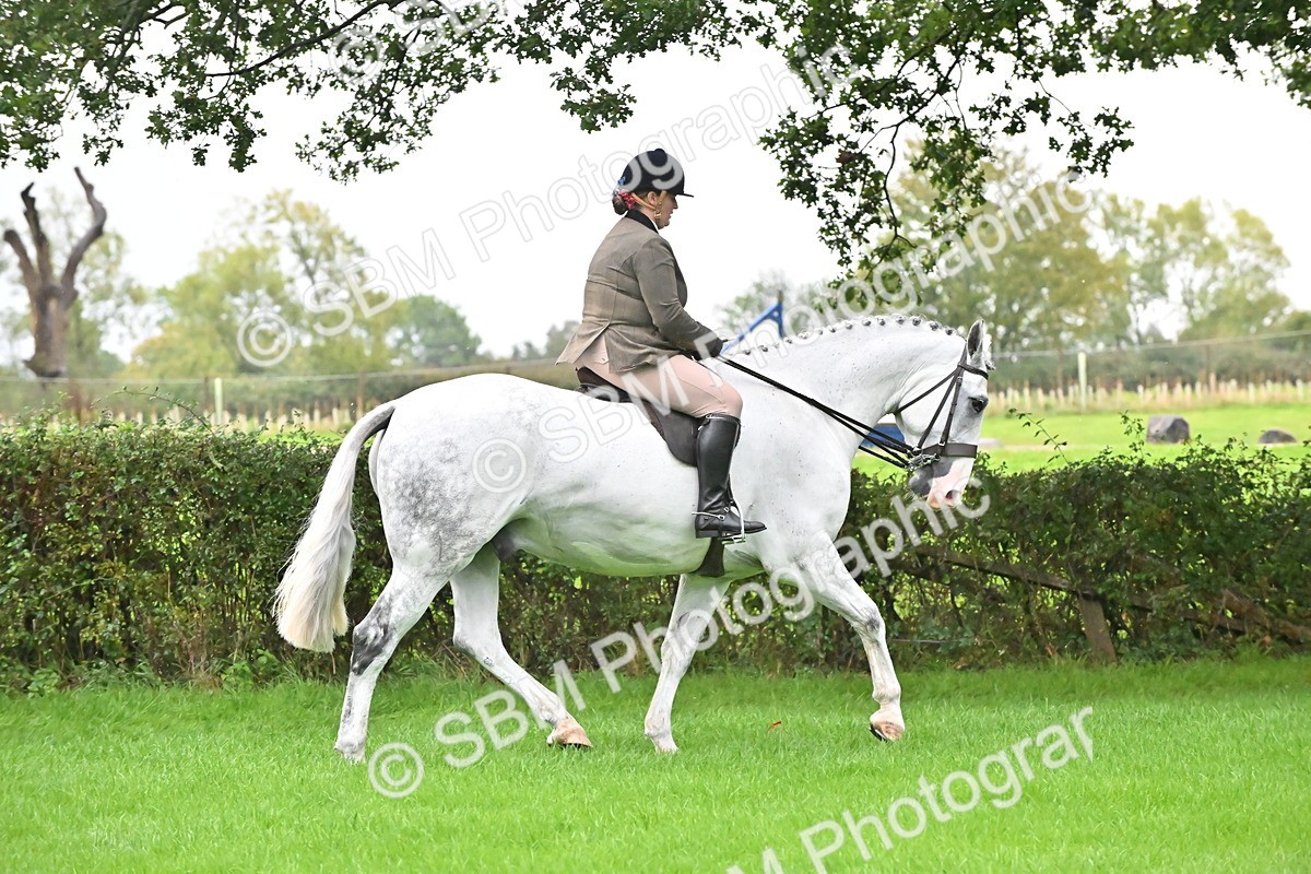 SBM_35744 - S16 - Top Turnout - Ridden