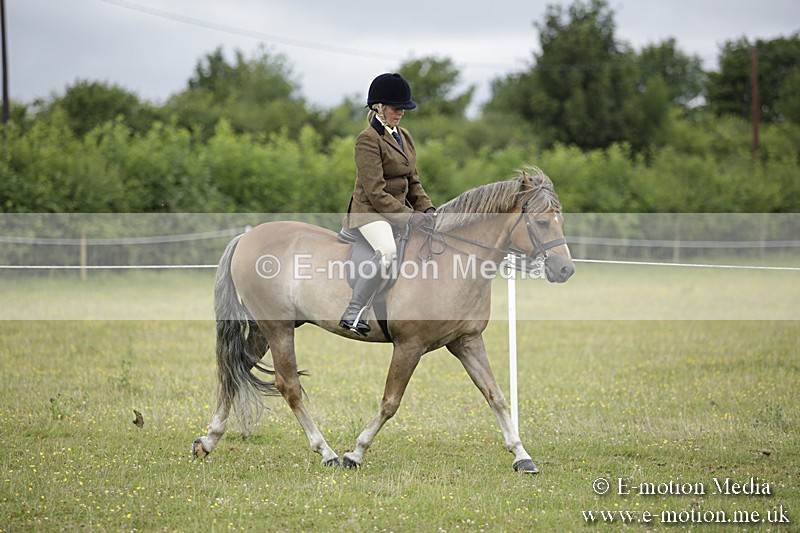 BVR160717-1289 - Ring 1 BVRC Show 16/07/17