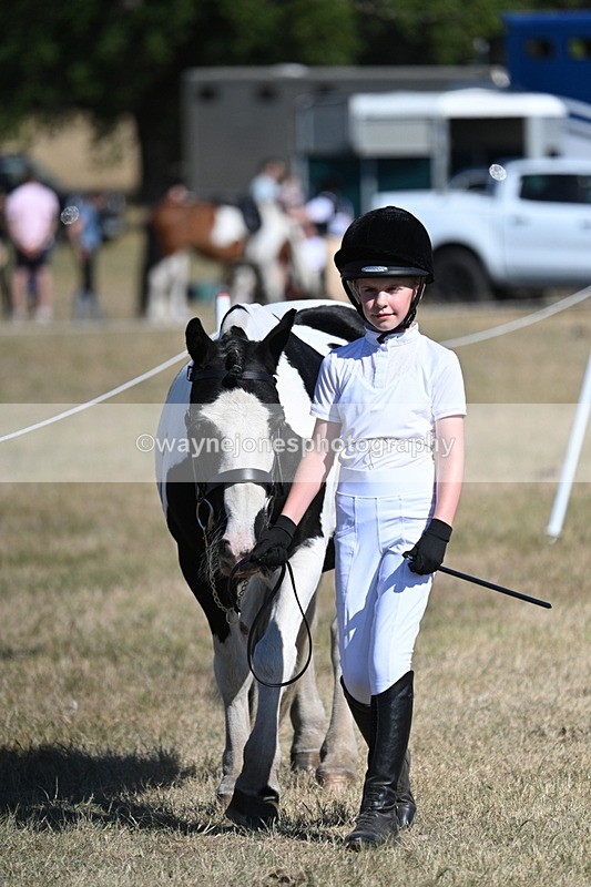 WJ7_1790 - Class 43 Best Six Legs (In hand)