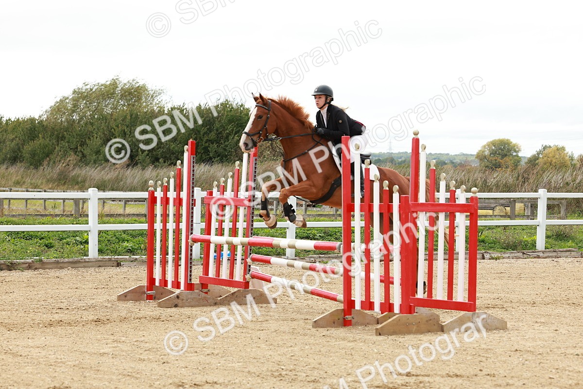 1I0A6768 - Class 2 - Senior British Novice