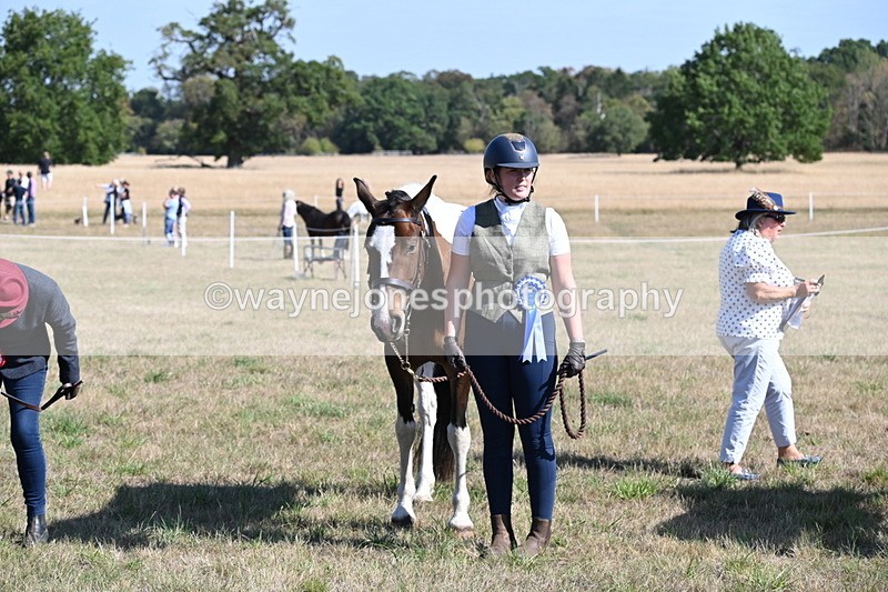 WJ6_4343 - Class 16 Condition & Turn Out
