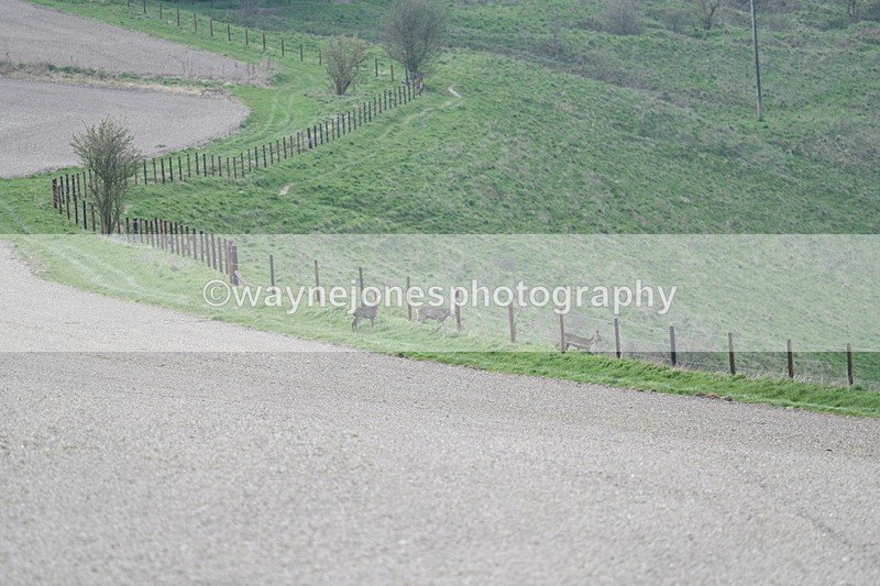 WJ7_7981 - Line 2 A camera