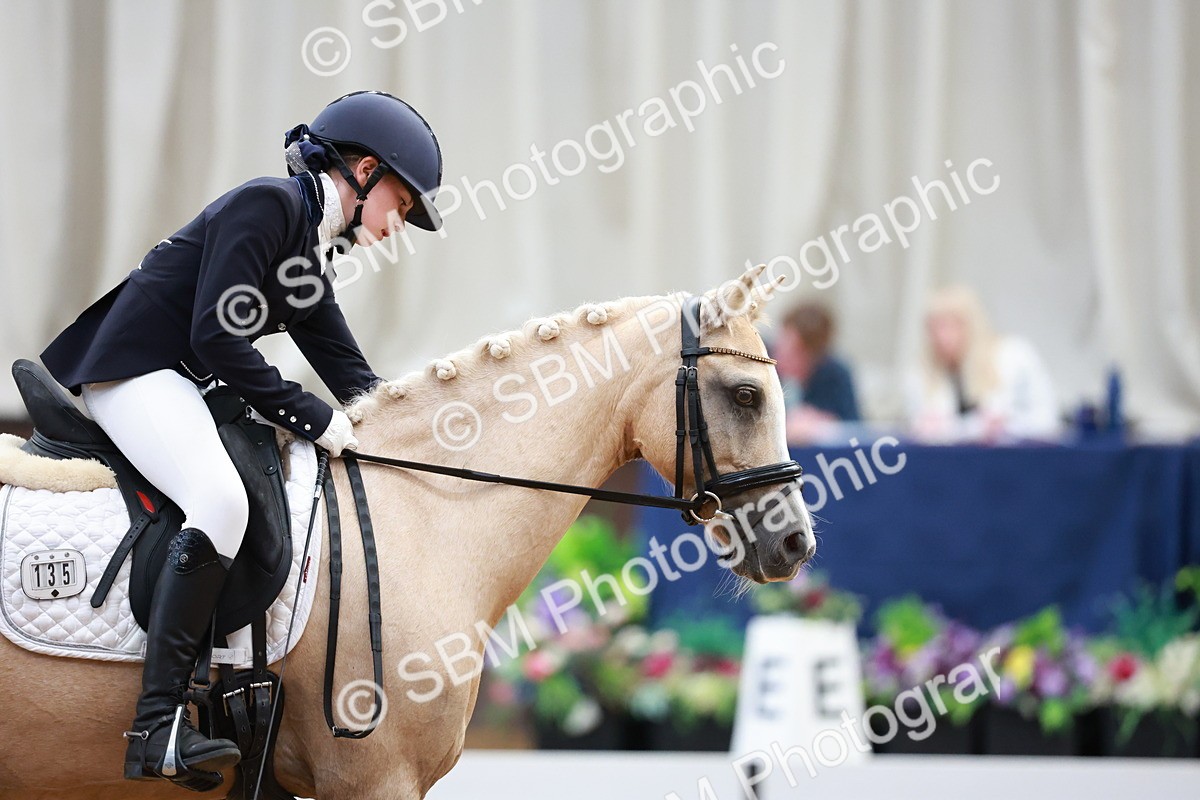 SBM_017405 - Class15 - FEI Pony