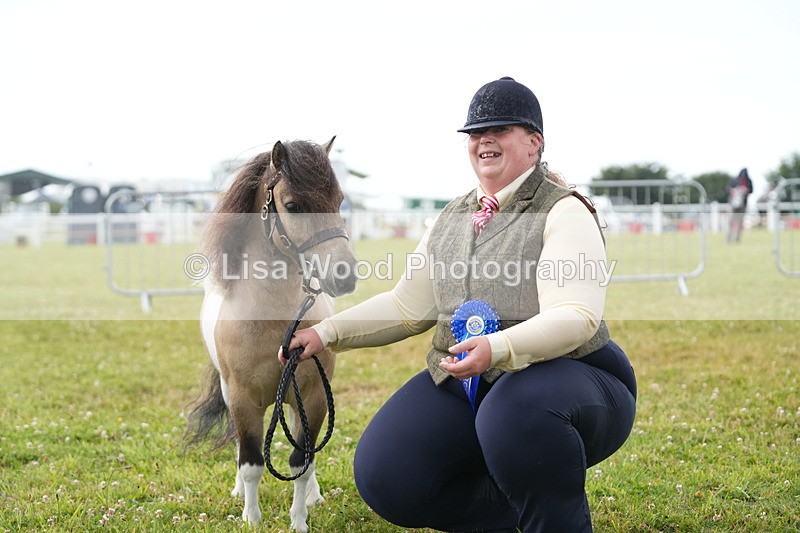 DSC04646 - Class 46: NPS Shetland Youngstock