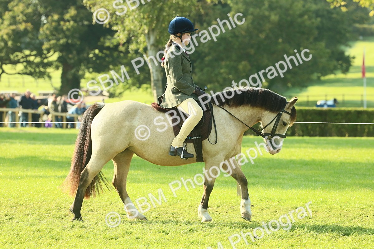 SBM_59129 - S38 - Starters Ridden Showing