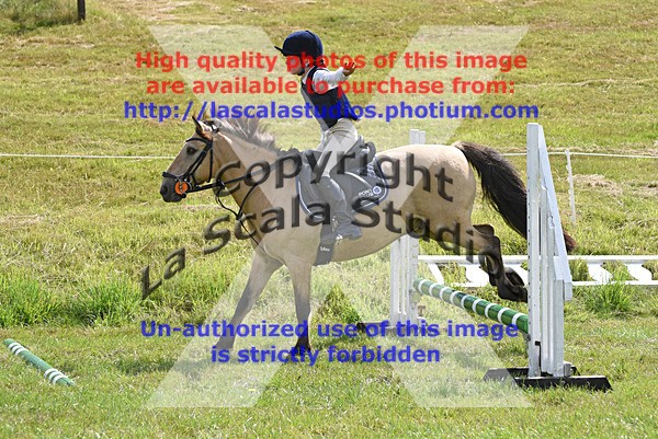 SNCP_0264 - S Group