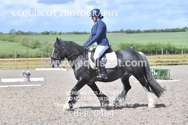 BPP_0464 - MFS NOVICE