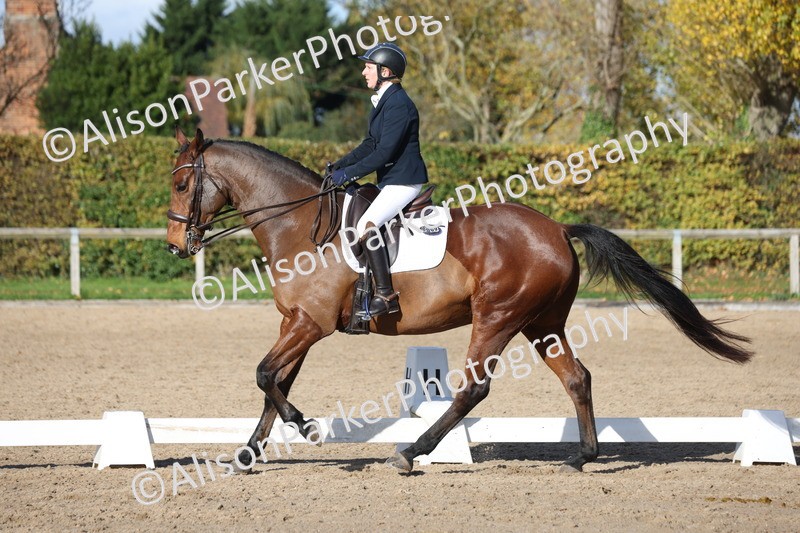 20251102-1026 - Class 5 - Elementary 5