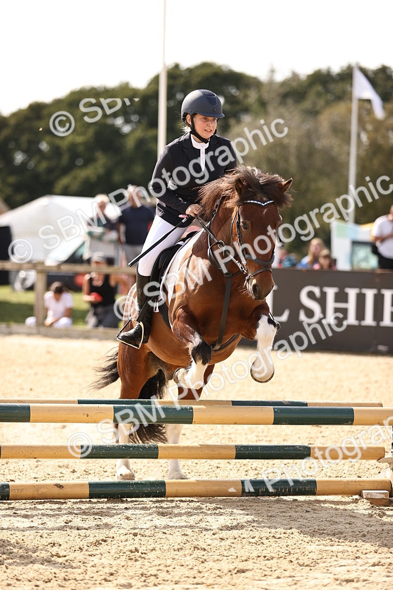SBM_66920 - J13 - Junior Pony 60cm Championship