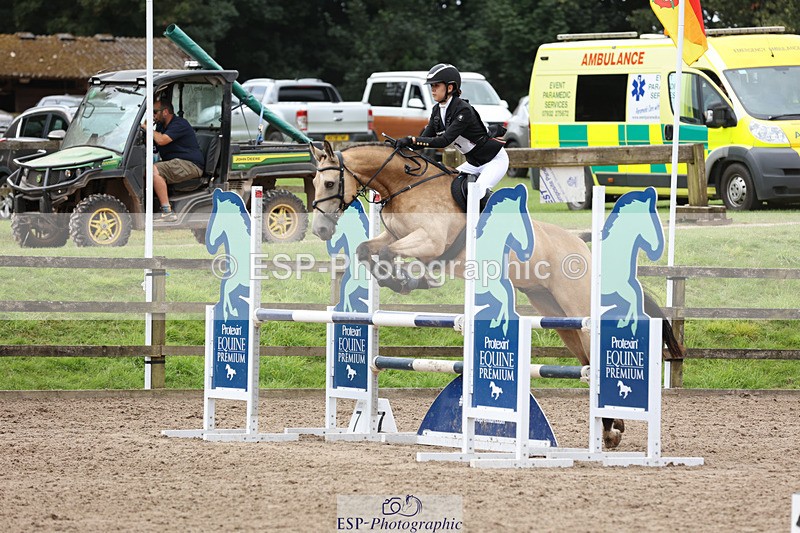 240804-125957-13546 - 521-Lily_Howell-WOODFIELD_GOLD