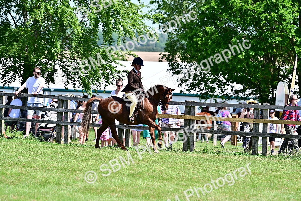 SBM_13963 - Class 95-97 - BSPS LHS Performance Ponies