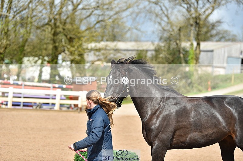 240417A-150654-00737 - 3pm to 4pm