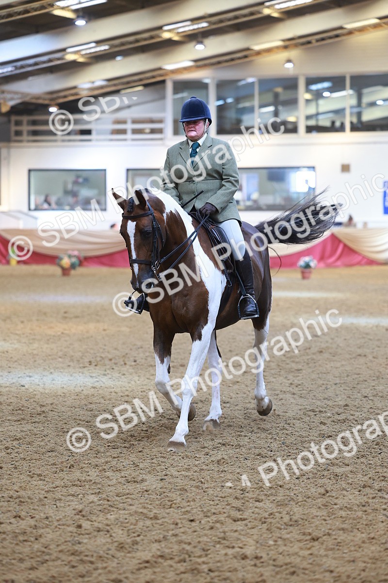 SBM_12520 - Class 103 - HOYS Veteran Qualifier - Ridden Pre Vet