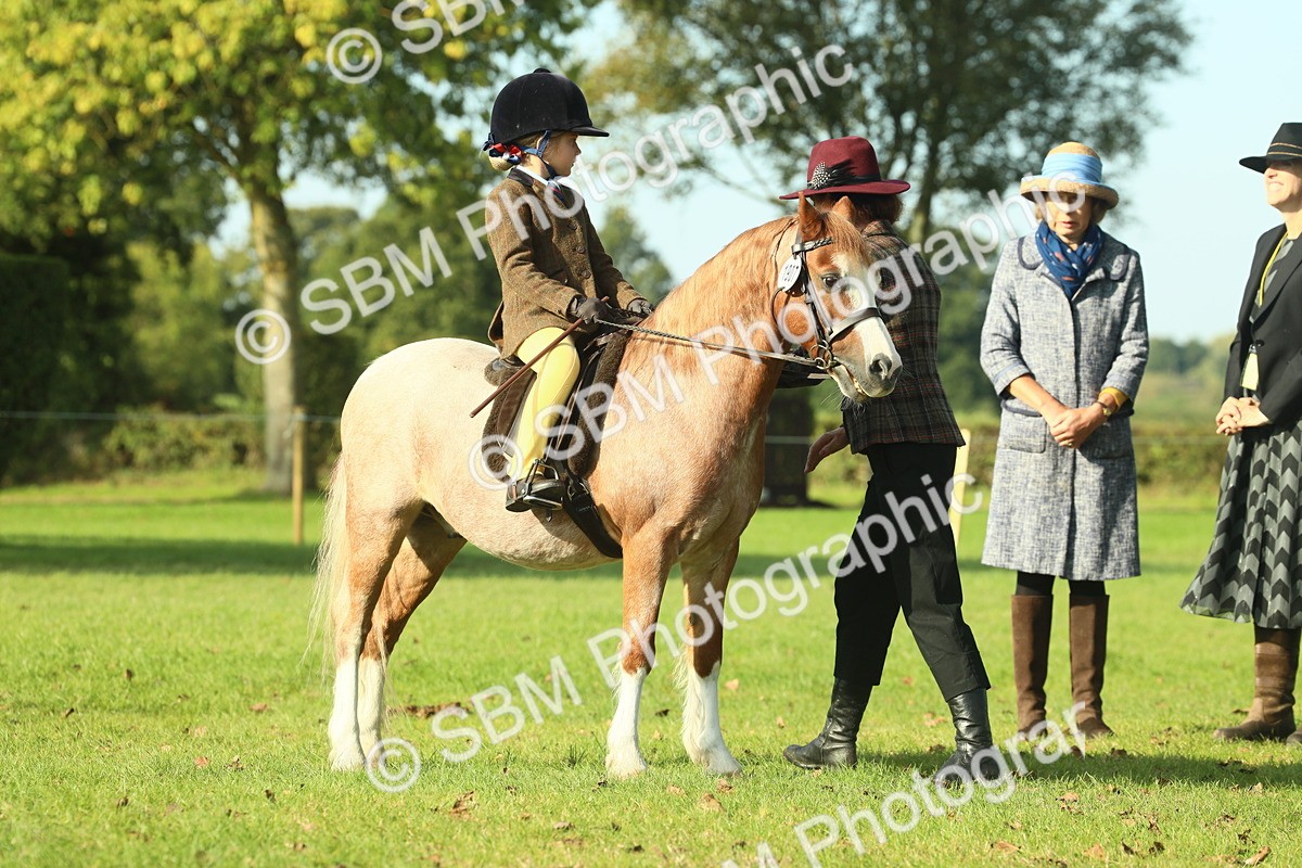 SBM_59223 - S38 - Starters Ridden Showing