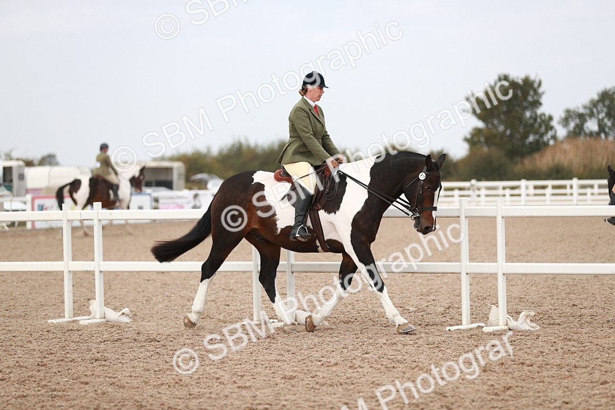 SBM_16651 - Class 214 Ridden Cob