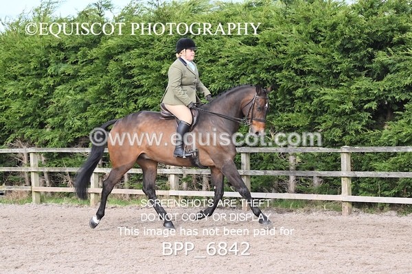BPP_6842 - RING 1  (RIDDEN HORSES / IN HAND / VETERAN ETC)