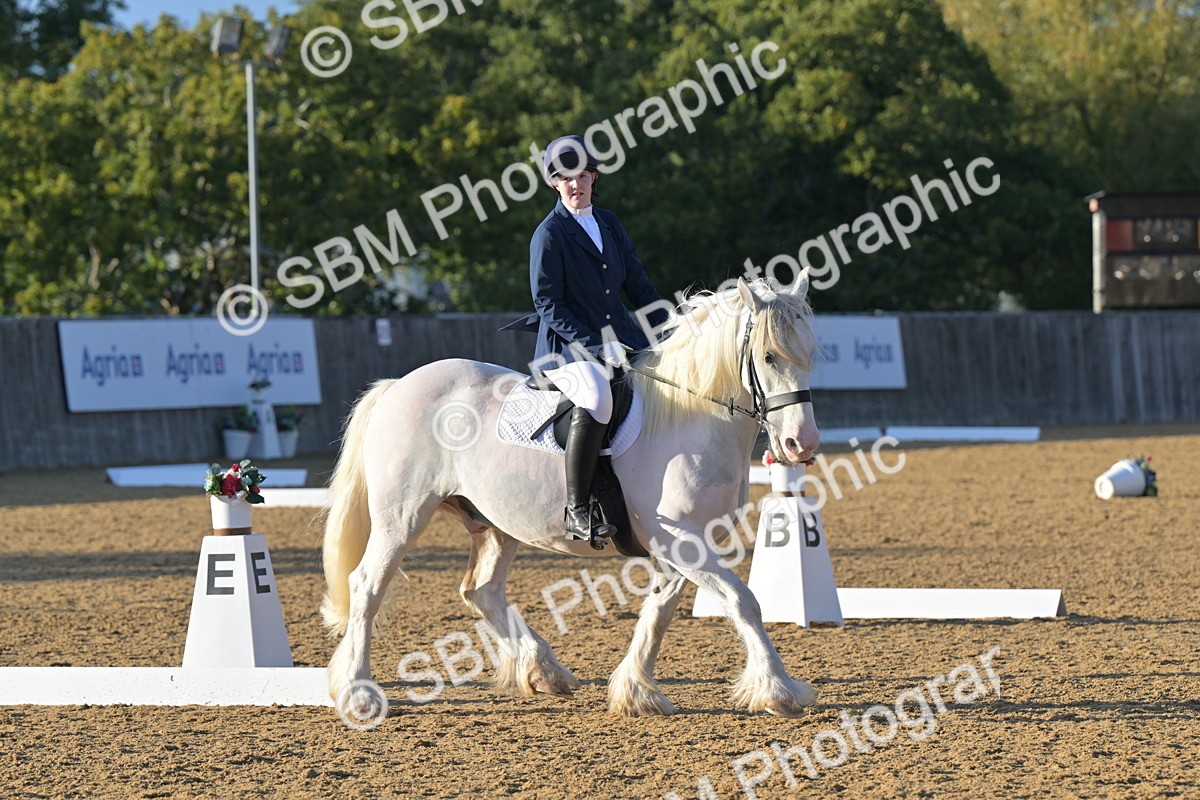 SBM_13190 - D3 - Small Tour Championship Intro 3