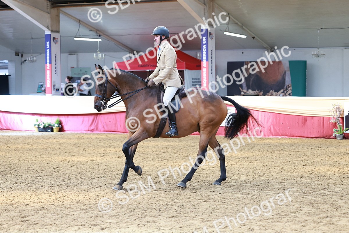 SBM_14925 - Class 108 - Ridden Retired Racehorse