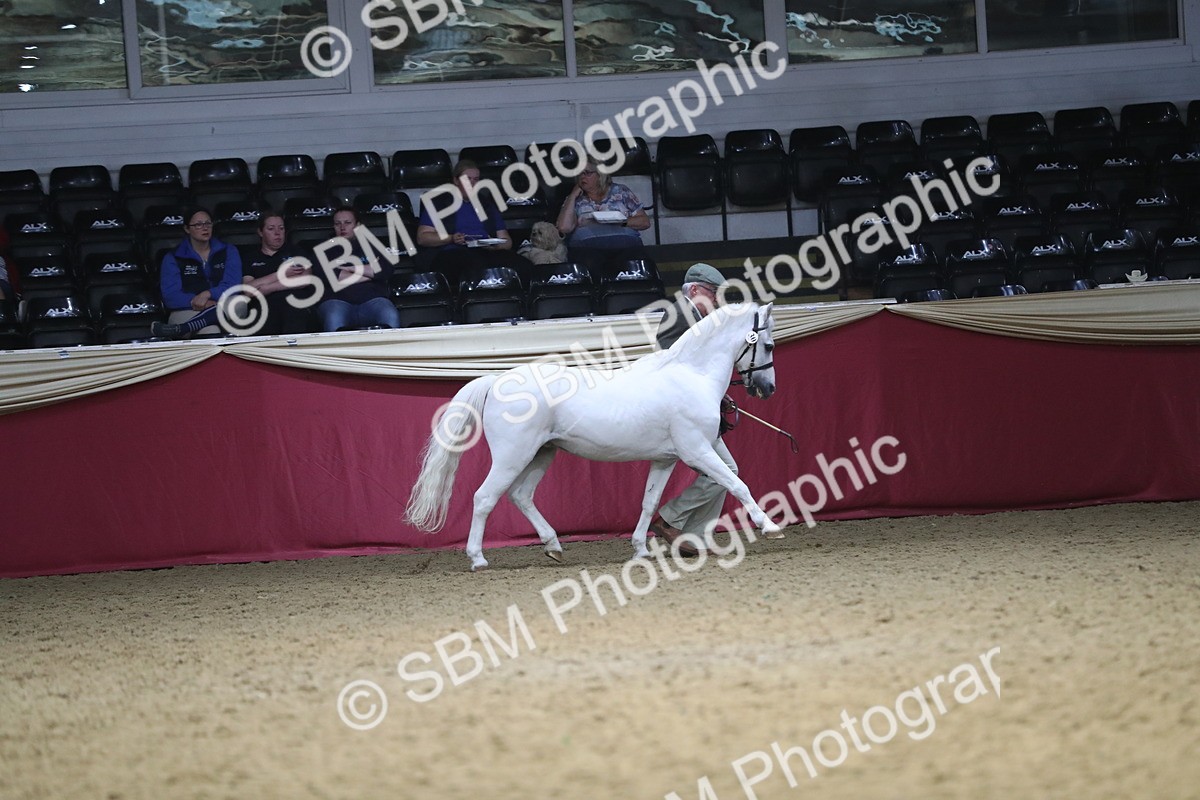 SBM_15185 - Class 501 M&M IH Supreme Final