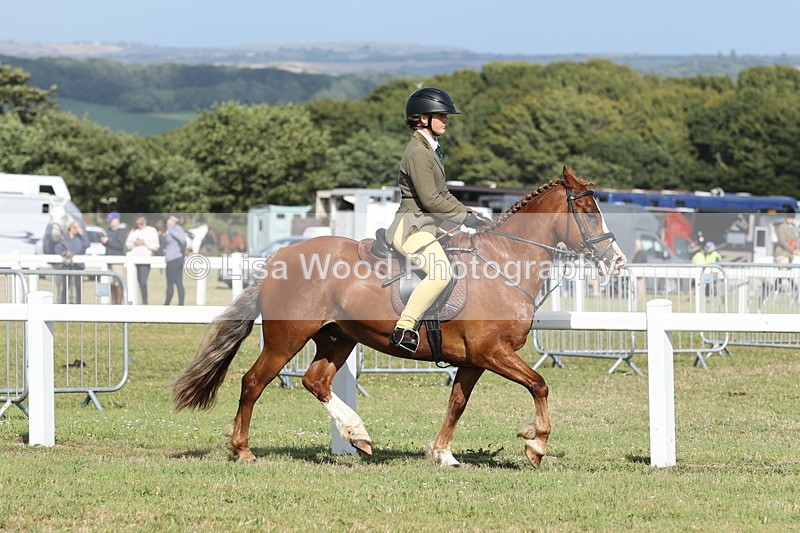 JPP_2870 - Class 20: Working Hunter 70cm