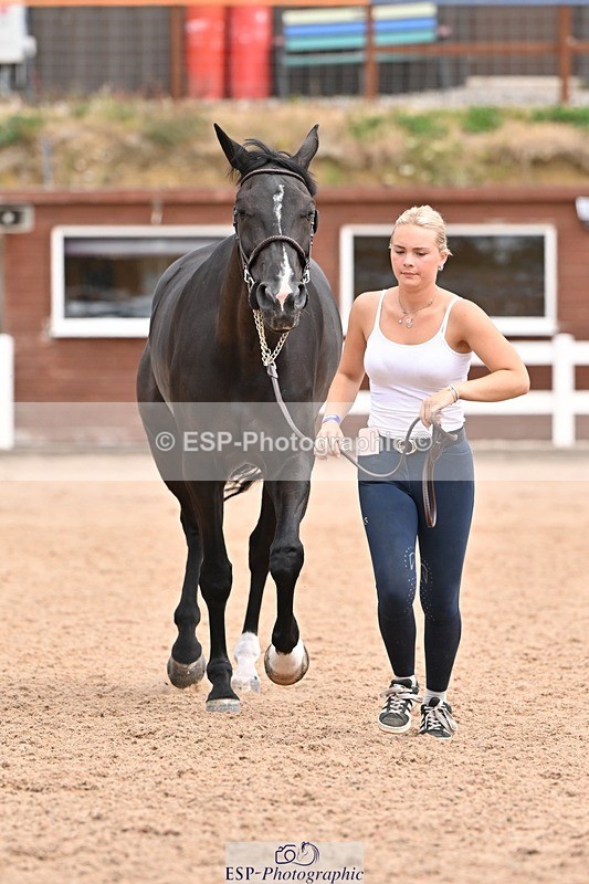 250716-144337-01336 - Trot Up 2.30 to 3.30
