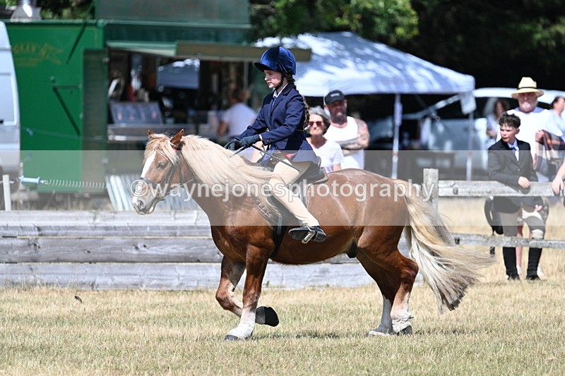 WJ7_3394 - Class 8 Ridden Veterans