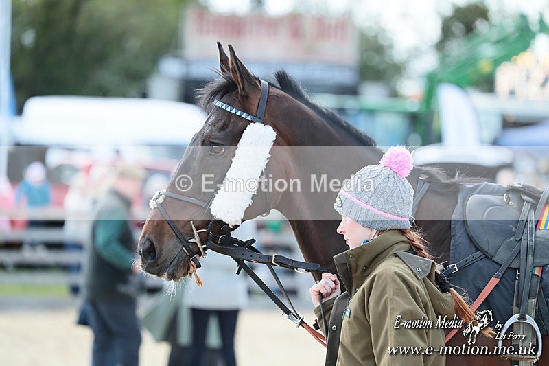 PtP 050525 239 - Mollington Races 05/05/25