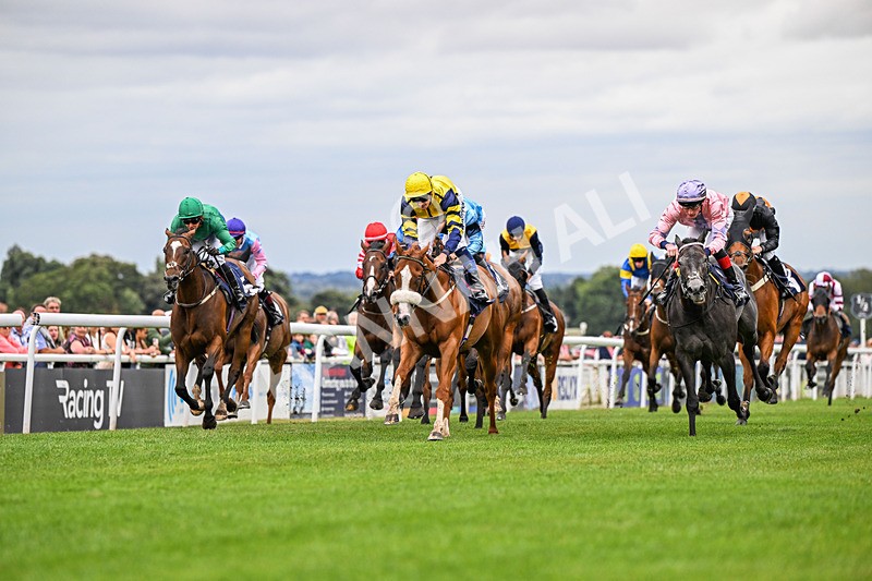 150824-Race 6-Captain Corelli-4453 - Race 6