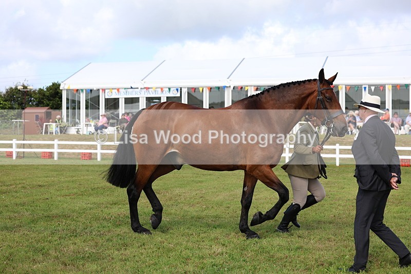 3E7A9510 - Class 4: Rising Star M/H Hunter